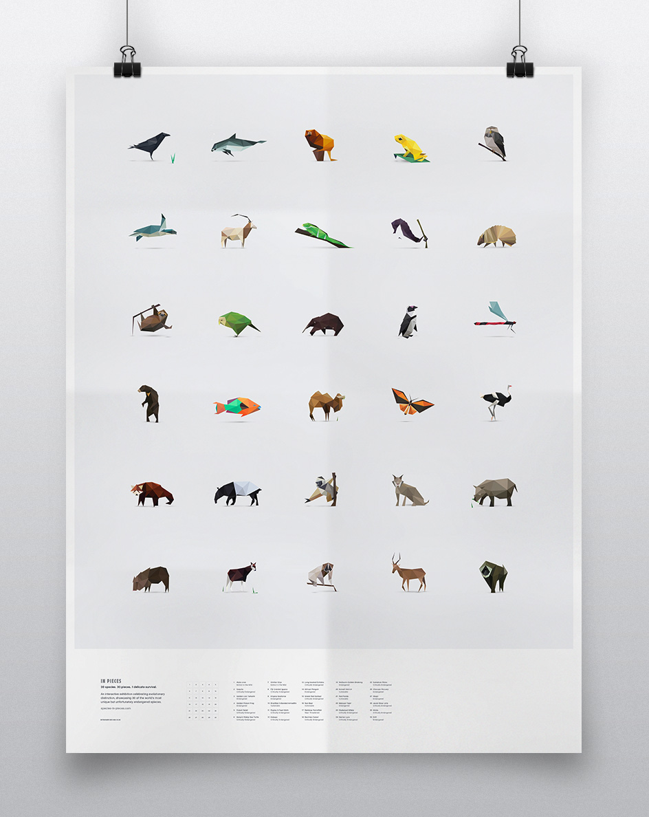 In Pieces - 30 Endangered Species, 30 Pieces.